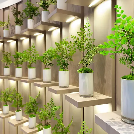 Hotel Condes De
